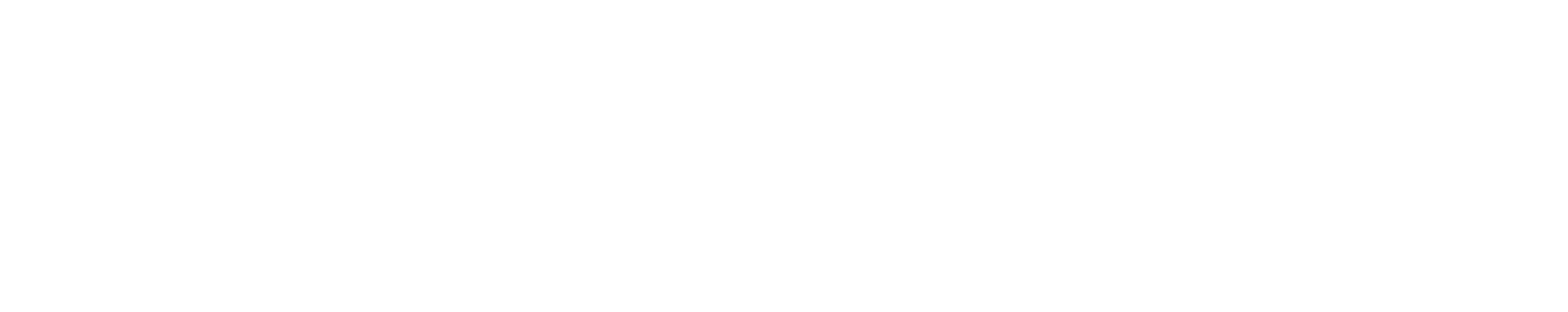 Sanyfico Logo